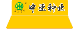 油缸